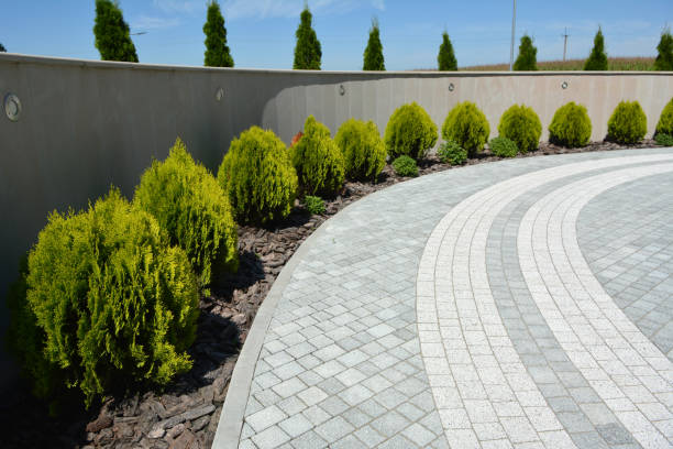 Best Driveway Paving Contractor  in Ranchettes, WY